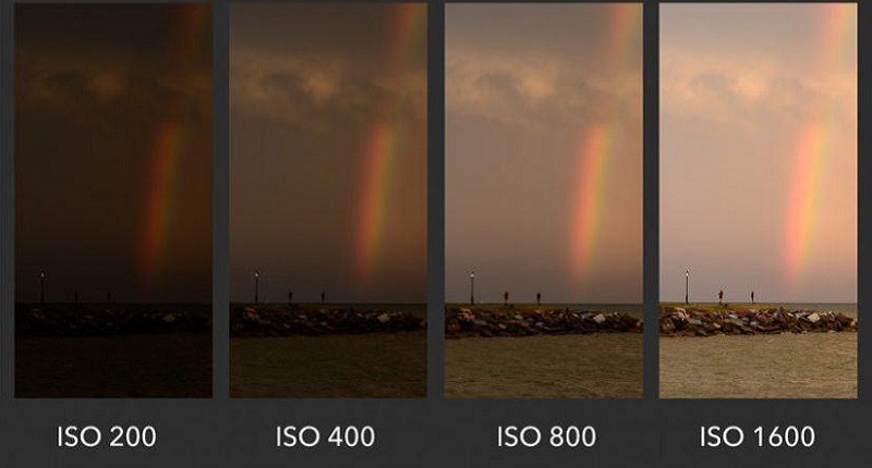 Điểm khác nhau giữa ISO cao và ISO thấp trong ảnh chụp?
