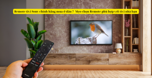 Remote tivi Sony chính hãng mua ở đâu ?  Mẹo chọn Remote phù hợp với tivi nhà bạn