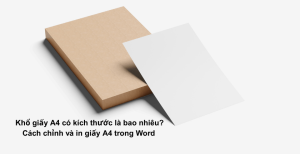 Khổ giấy A4 có kích thước là bao nhiêu? Cách chỉnh và in giấy A4 trong Word