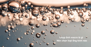 Chụp ảnh macro là gì ?  Nên chọn loại ống kính nào ?