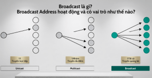Broadcast là gì? Broadcast Address hoạt động và có vai trò như thế nào?