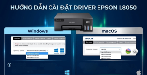 Cách tải và cài driver Epson L8050 trên Windows, macOS chi tiết