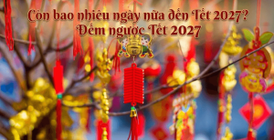 Còn bao nhiêu ngày nữa đến Tết 2027? Đếm ngược Tết Nguyên Đán