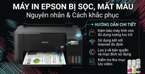 Máy in Epson bị sọc, mất màu: Nguyên nhân và cách khắc phục