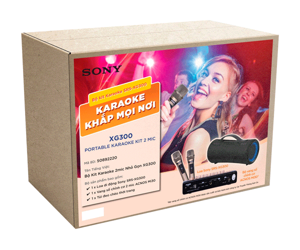 https://logico.com.vn/bo-kit-karaoke-2-mic-sony-srs-xg300-1.png