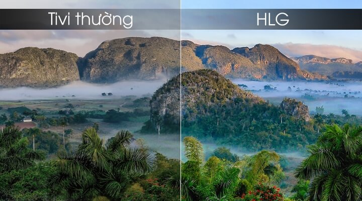 Công nghệ HLG cho độ tương phản cao, màu sắc rực rỡ, sống động hơn