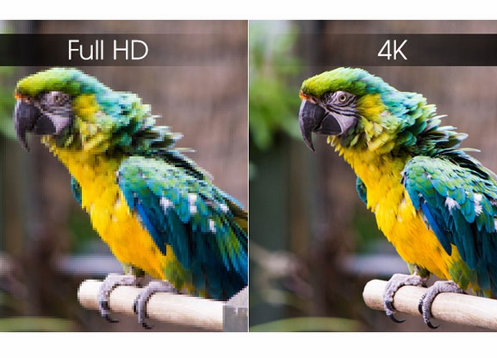 Độ phân giải 4K tạo nên những hình ảnh sắc nét đến từng chi tiết, sống động và chân thực 