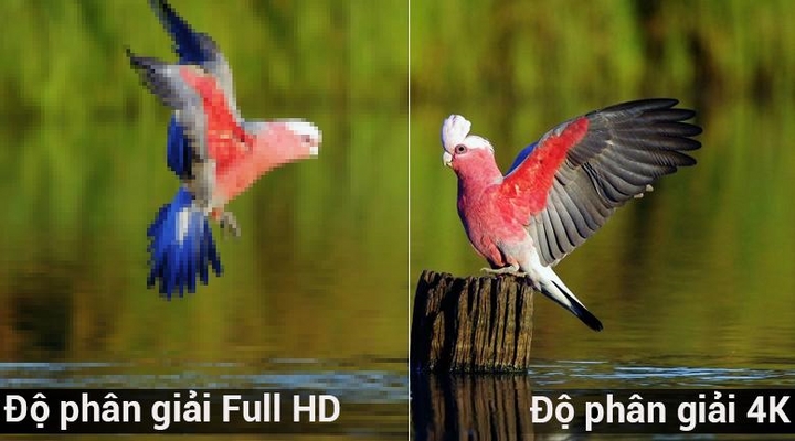 So sánh độ phân giải của Full HD và 4K
