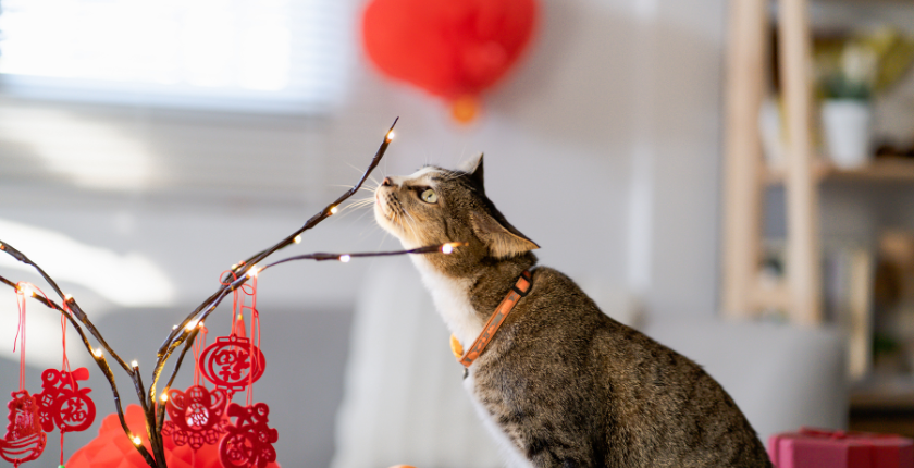 Hình ảnh chúc mừng năm mới kèm câu chúc ý nghĩa4