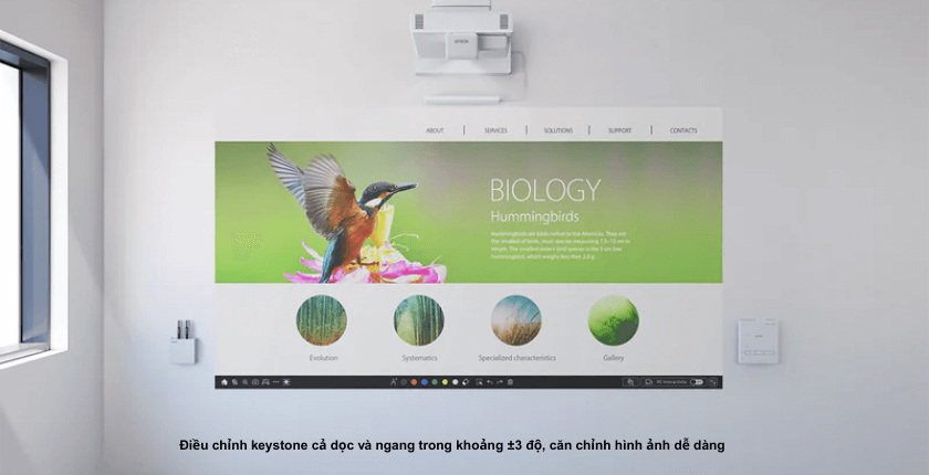 Âm thanh tích hợp và khả năng tùy chỉnh linh hoạt