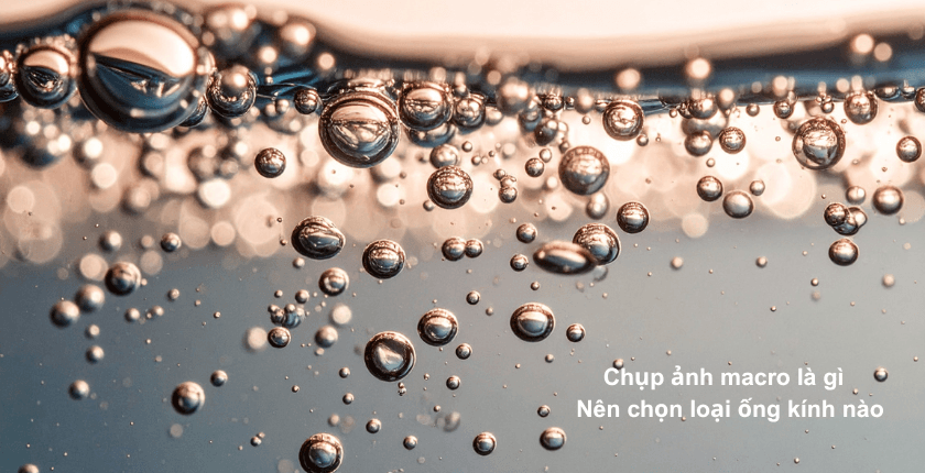 Chụp ảnh macro