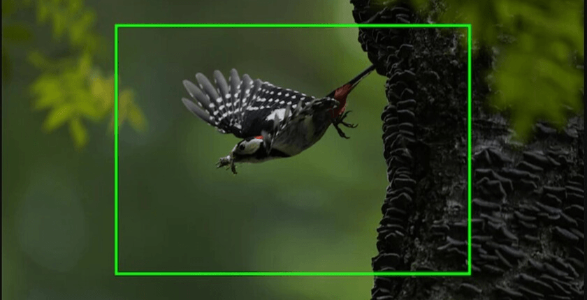 Nhược điểm của máy ảnh full-frame