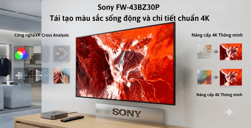 màn hình Sony FW-43BZ30P chính hãng