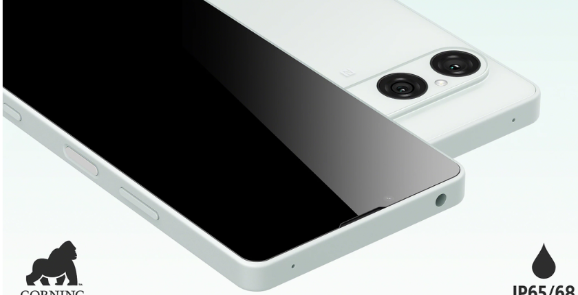 Sony Xperia 10 VIII Gorilla Glass Victus 2